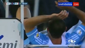 La reazione di Mascherano