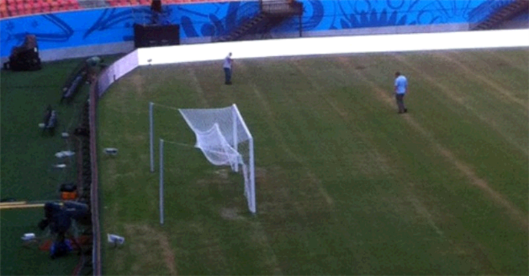 Manaus manto erboso (Foto dal web)