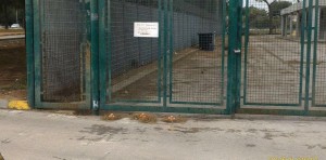 Le uova lasciate davanti a terra davanti al cancello del campo d'allenamento del Bari ed un cartello eloquente