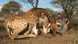 Hristo Stoichkov mostra orgoglioso la giraffa abbattuta