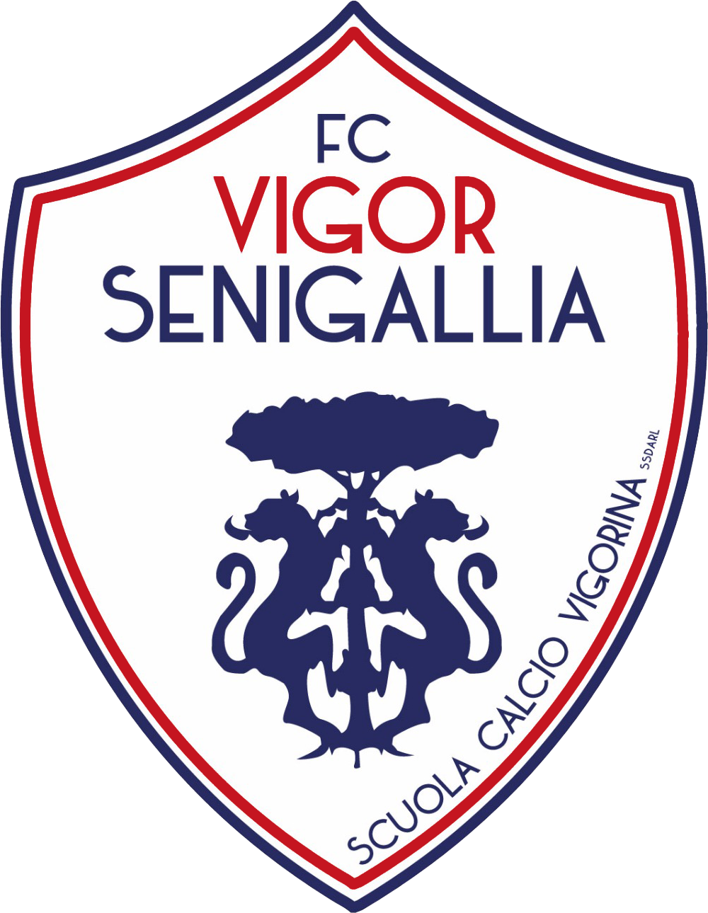VIGOR SENIGALLIA