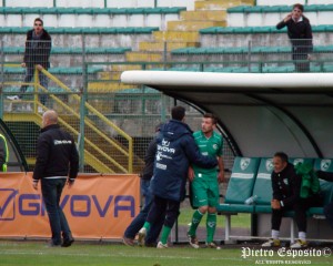 Bucaro vs D'Angelo 2