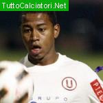 POLO ANDY JORMAN ANDRADE