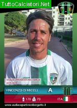 DI MICELI VINCENZO